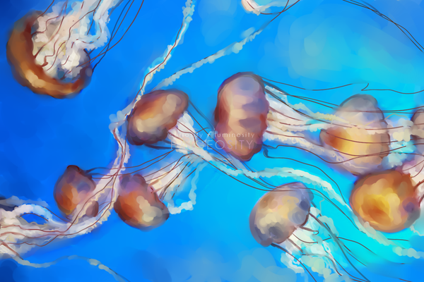 PAIGEOSITY Jellyfish-Adfluxi 12"x8" Hand-Signed Print