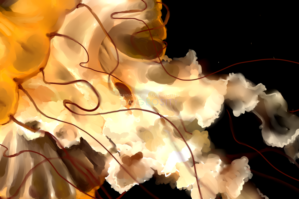 PAIGEOSITY Jellyfish-Candida 12
