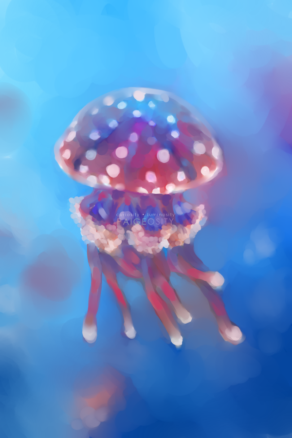 PAIGEOSITY Jellyfish-Pingere 12"x8" Hand-Signed Print