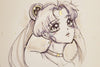 SIGNED PRINT 12"x8" Pretty Usagi Set of 3