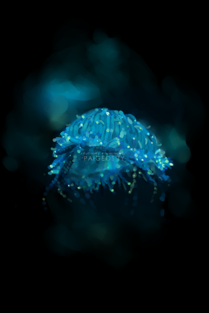PAIGEOSITY Jellyfish-Astrum 12