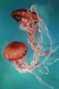 PAIGEOSITY Jellyfish-Conventus 12"x8" Hand-Signed Print