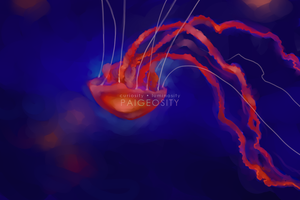 PAIGEOSITY Jellyfish-Incendi 12"x8" Hand-Signed Print