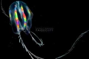 PAIGEOSITY Jellyfish-Stellae 12"x8" Hand-Signed Print