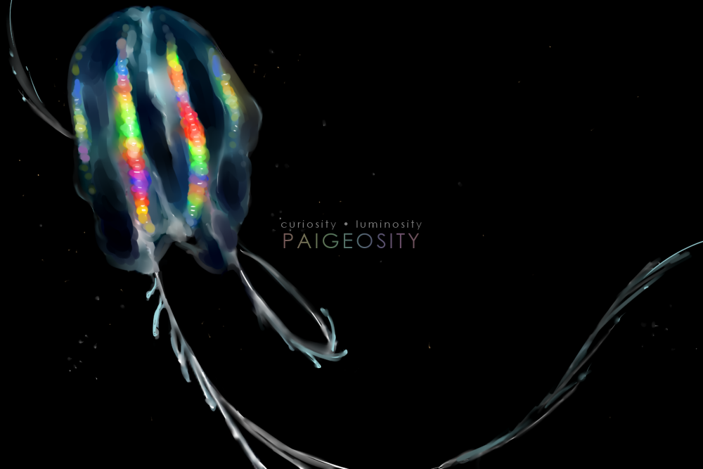 PAIGEOSITY Jellyfish-Stellae 12